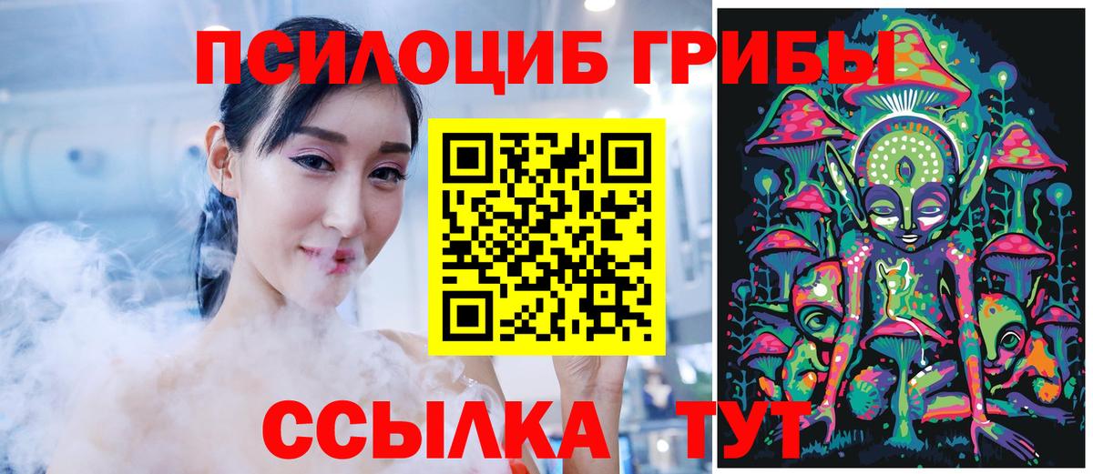 Псилоцибиновые грибы прущие грибы Строитель